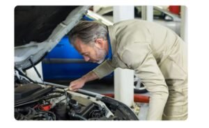 How To Keep Mice Out Of Car Engine Expert Tips